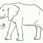 حقایقی جالب درباره فیل‌ها