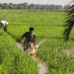 ضرورت مدیریت مصرف آب در خوزستان