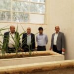 دکتر ناصری: تولید دانش‌بنیان، چراغ راه صنعت نیشکر است