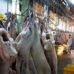 کشتارگاه دام اهواز مشکل بهداشتی ندارد/ رسانه ملی بی انصافی کرد