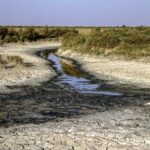 تأمین نشدن حق‌آبه زیستی هورالعظیم در ۲سال/ هور در آتش و گرفتار جاده‌ها و سگ‌های ولگرد