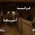 شباهت رژیم‌صهیونیستی و الاغی که می‌خواست قهرمان شود!