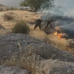 ۷۰۰هکتار مراتع جریک مسجدسلیمان(بادام،کلخونگ،بلوط) در حال آتش سوزی است .