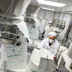 تولید بیش از ۷۲۱ هزار تن شکر سفید در توسعه نیشکر