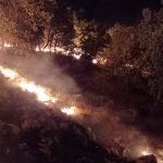 سومین حادثه عمدی آتش سوزی در منطقه جنگلی برونعالی طی ده روز اخیر