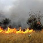 مهار آتش در قلب زاگرس ؛ اطفای حریق کوه لیله پس از ۲۴ ساعت عملیات پیچیده