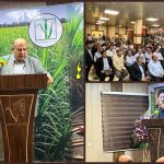 امروز «لوح سبز جنوب» افتخار صنعت کشور است