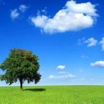 هوای پاک، حق تنفس انسان است