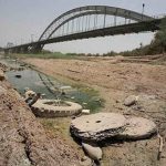 کارون بیمار است، نیاز به درمان دارد