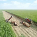 مدیرعامل شرکت توسعه نیشکر خبر داد: برداشت نیشکر از ابتدای فصل، ۱۰۰ درصد سبز انجام شده است/ امسال ناوگان برداشت نیشکر با ۹ هاروستر جدید تقویت شد