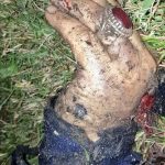 انگشتری که نوری مالکی به حاج قاسم هدیه کرد